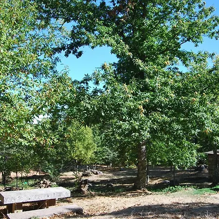 Apartamento Sierra De Francia Linares de Riofrío